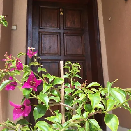 Guest house за гости димитрови