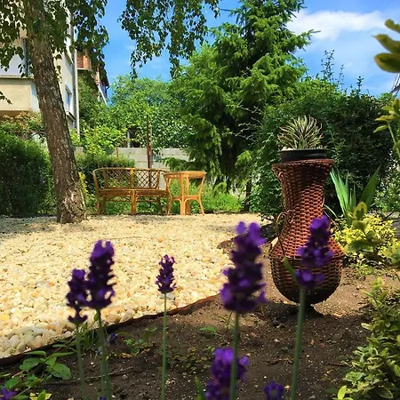 Dimitrovi - Peaceful Near With Garden, Sarafovo 4* Burgas