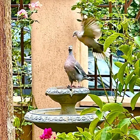게스트하우스 за гости димитрови 부르가스