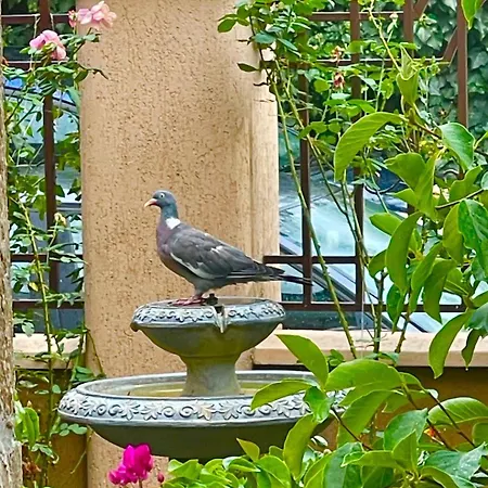 게스트하우스 за гости димитрови