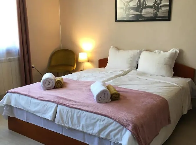 за гости димитрови