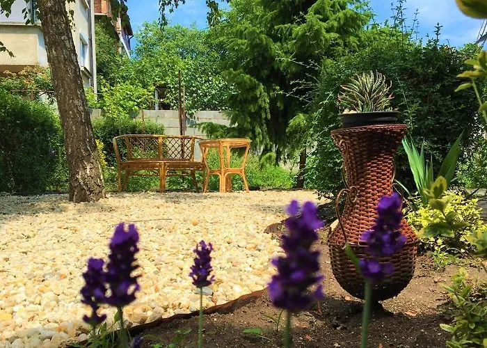 за гости димитрови 3* Burgas City