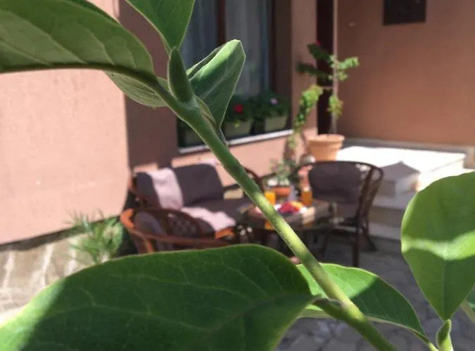 за гости димитрови 3* Burgas City