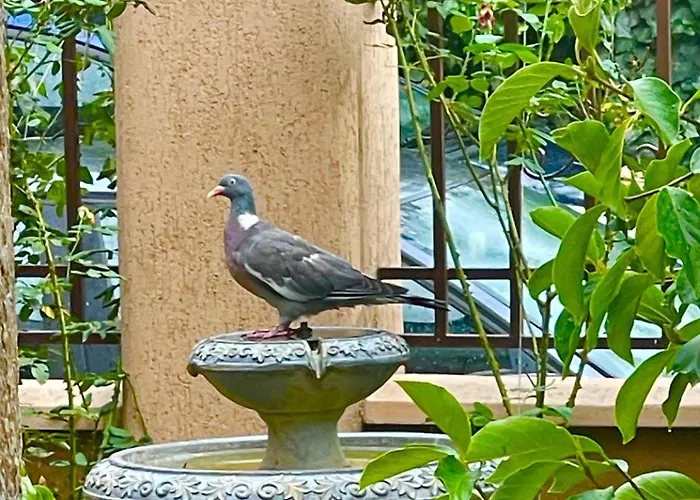 Гостевой дом за гости димитрови