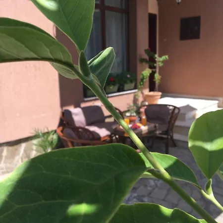 Dimitrovi - Peaceful Near With Garden, Sarafovo 3* Burgas Stad