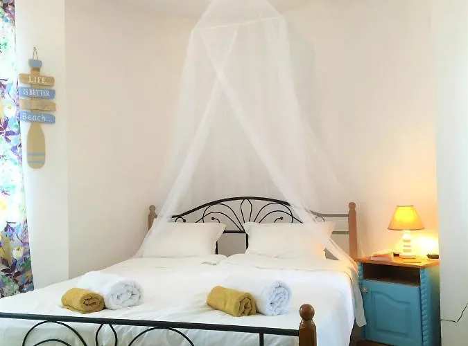 за гости димитрови Burgasz