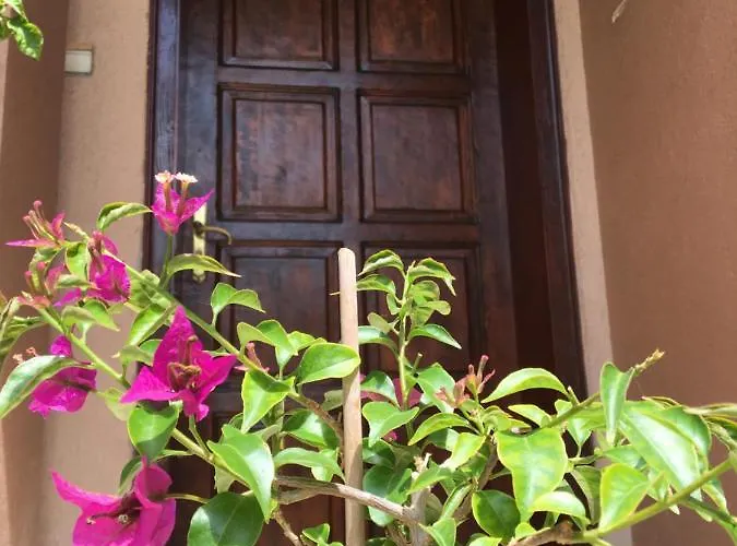 Vendégház за гости димитрови